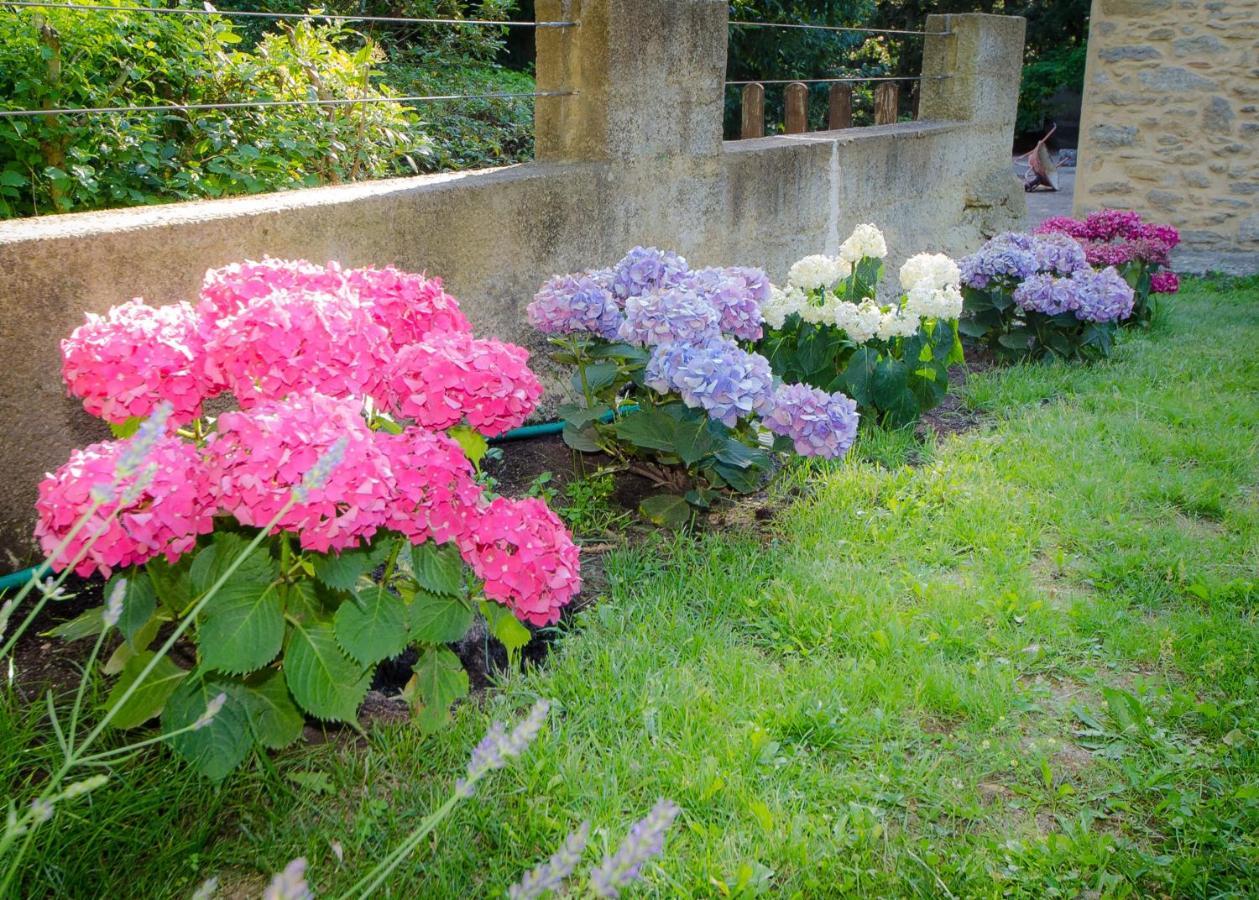 La Jourdane Bed and Breakfast Saint-Alexandre Rum bild